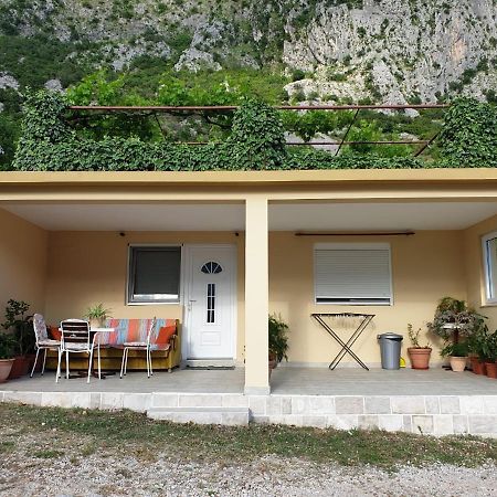 Apartment Jelena Kotor Dış mekan fotoğraf