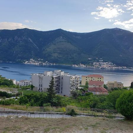 Apartment Jelena Kotor Dış mekan fotoğraf