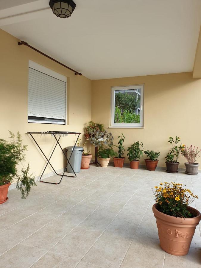 Apartment Jelena Kotor Dış mekan fotoğraf