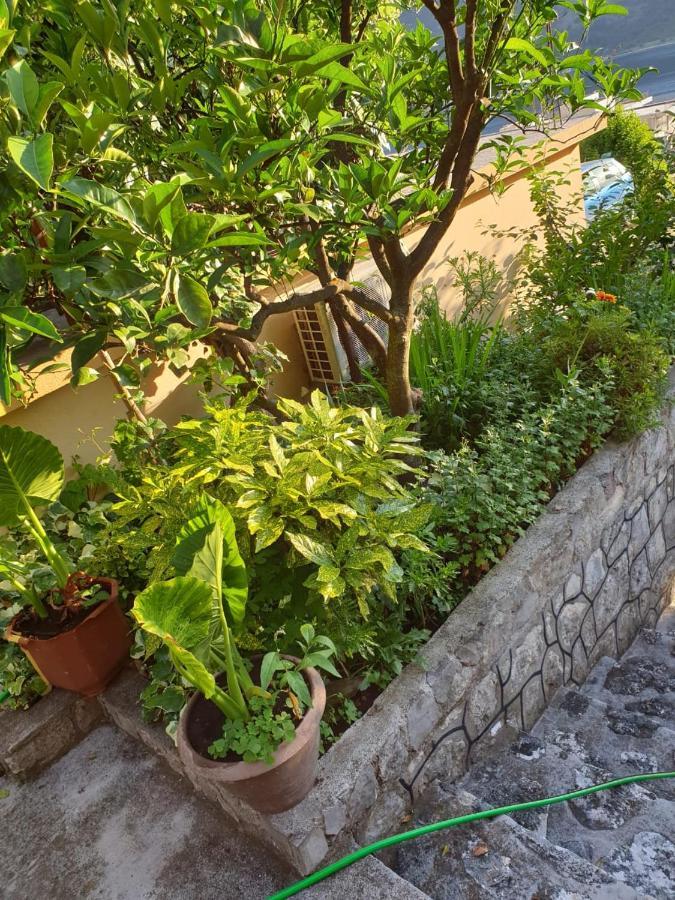 Apartment Jelena Kotor Dış mekan fotoğraf