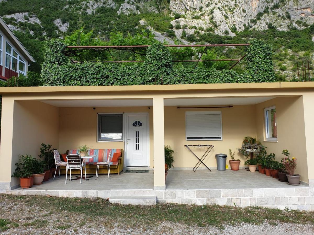 Apartment Jelena Kotor Dış mekan fotoğraf