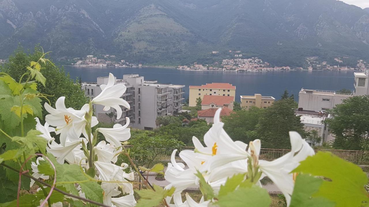 Apartment Jelena Kotor Dış mekan fotoğraf